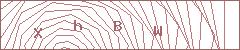 Contato